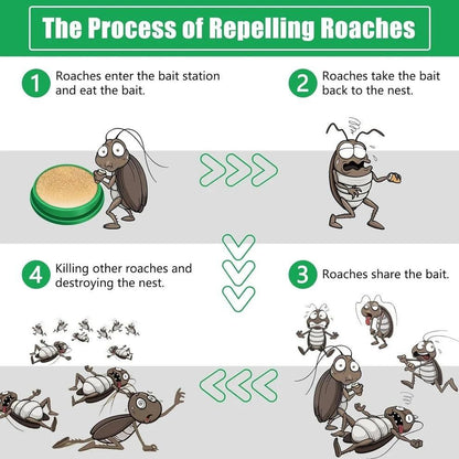 Cockroach Killer Gel (Pack of 2) 0jyzfu-7t